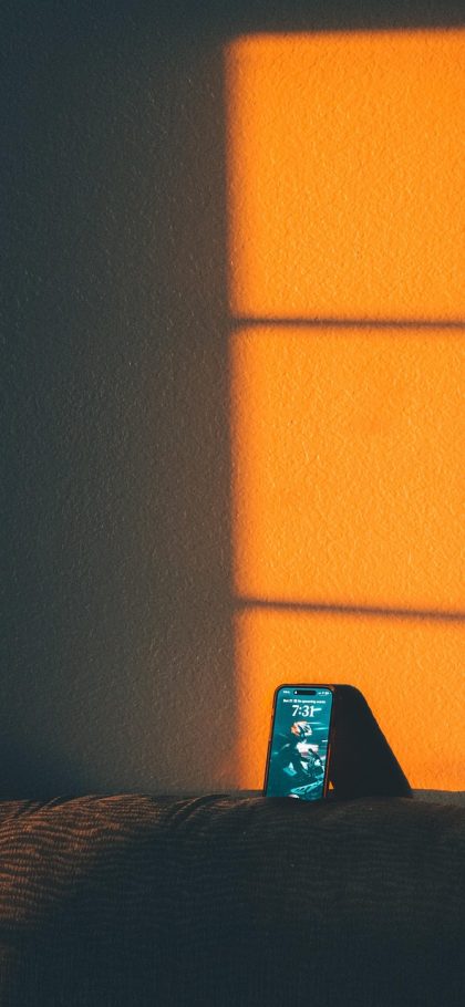 白底 App 导出界面截图，屏幕上列出尺寸、底色、留白、文件体积四项核对清单，每项右侧带有对勾或感叹号标记，底部是醒目的导出按钮